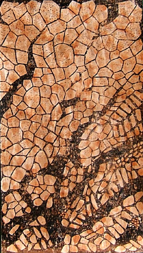 Cracked Earth2