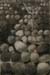 Round rocks